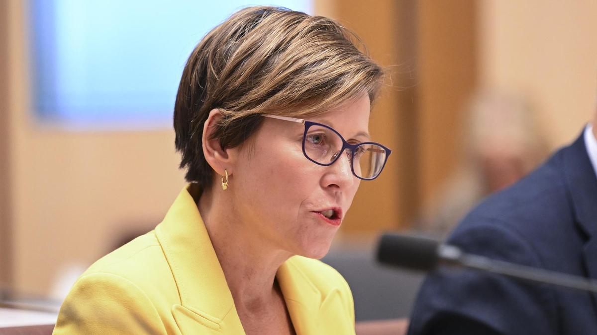 «Не схема швидкого збагачення»: законопроект, спрямований проти ротерів NDIS, прийнято Сенатом